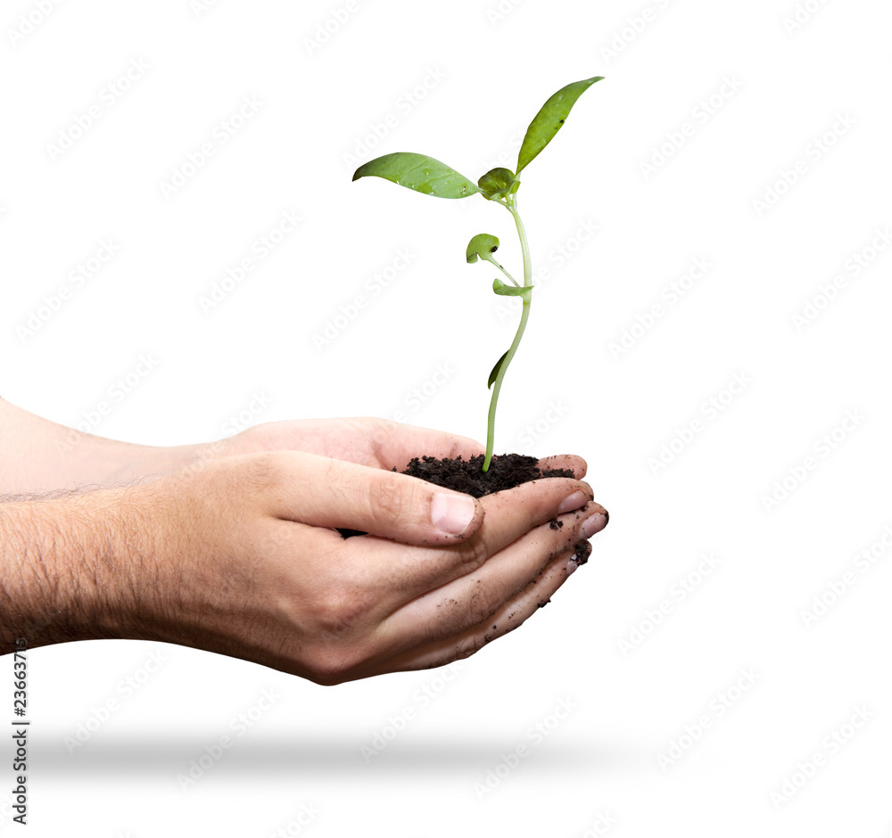 Hold new life Hold new life