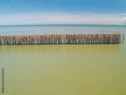 Fence bamboo row