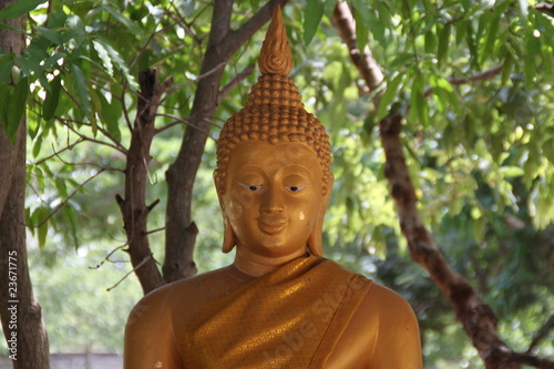 buddha image, Wat Ku Ka Singh Temple, Kasetwisai, Roi-Et photo