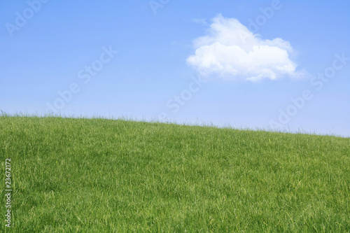 lawn with sky