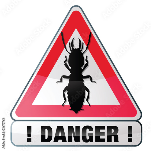 danger, risque de termites photo