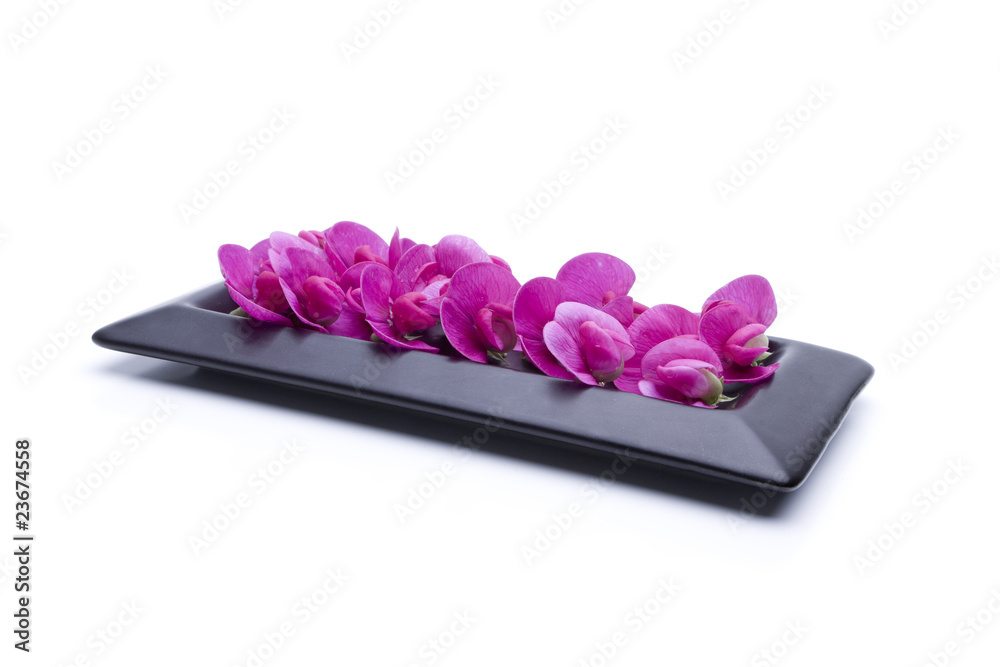 Feng Shui Schale Feng Shui Schale