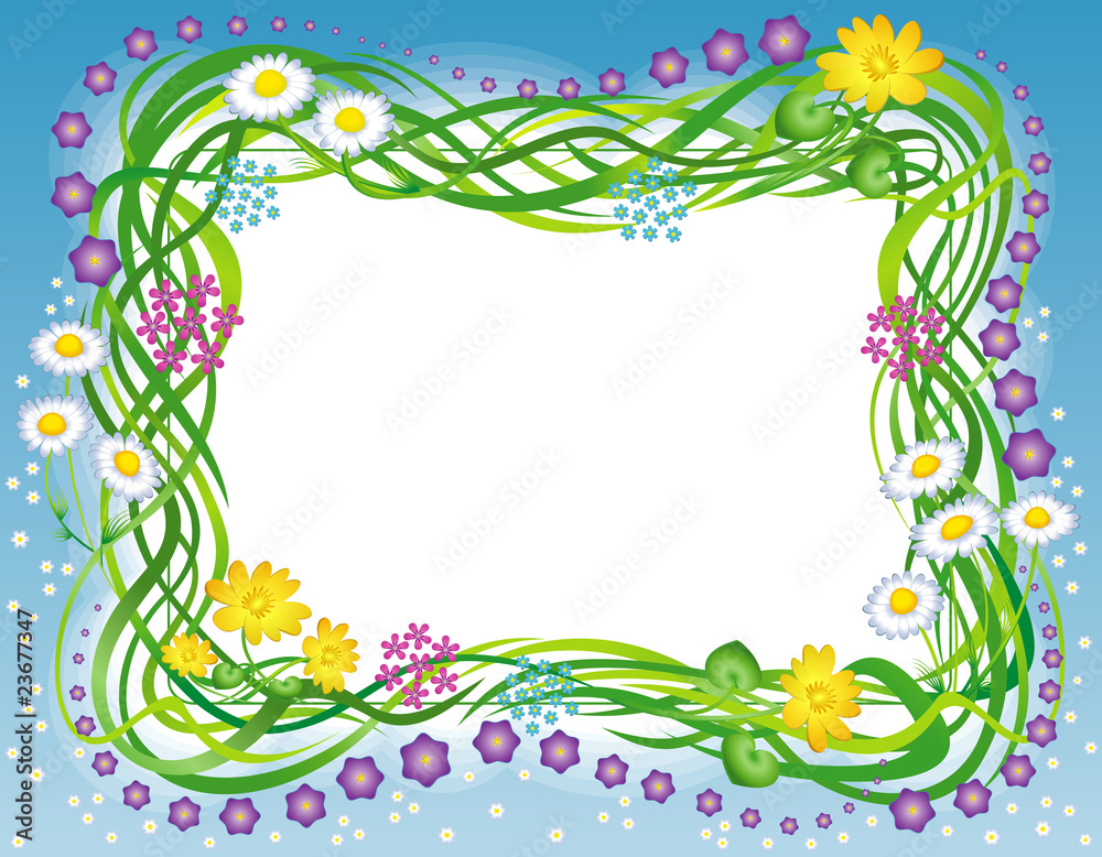 Frame with the grass and flowers Frame with the grass and flowers