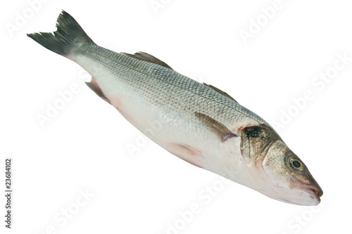 Fresh raw fish isolated on white background