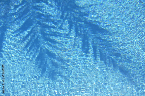 Palmwedelschatten im Swimmingpool