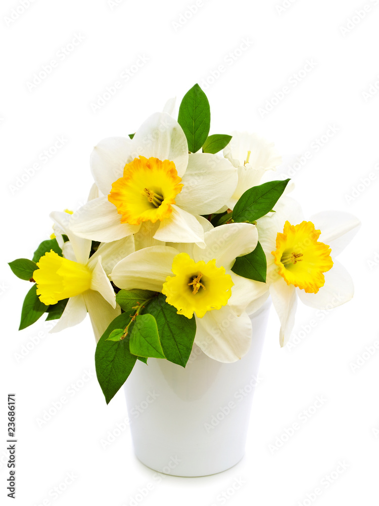 narcissus bouquet