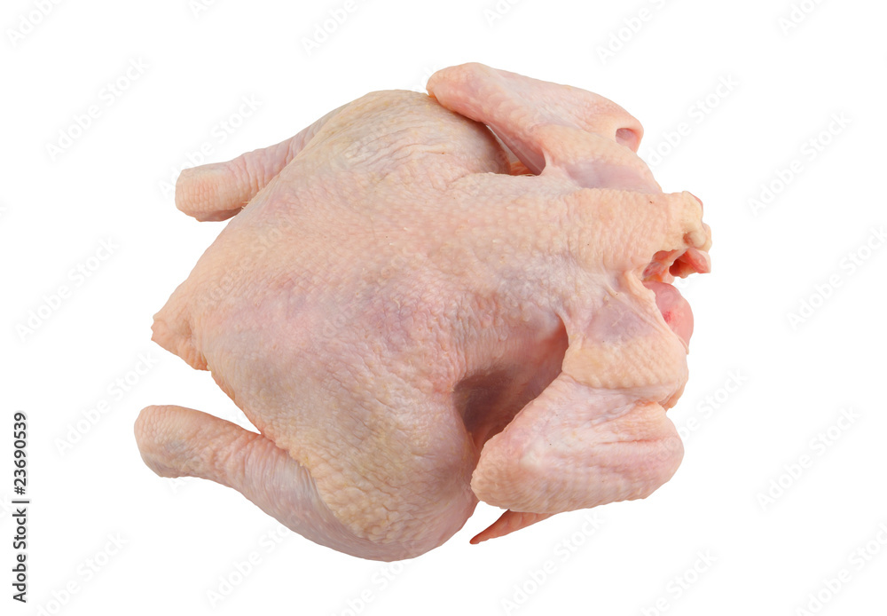 Chicken isolated on white background Chicken isolated on white background