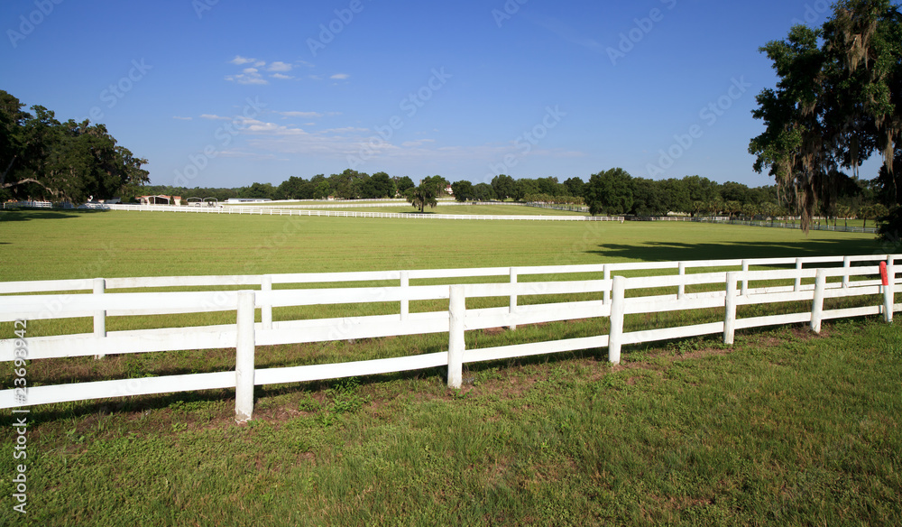 Horse Farm White Picket Fence Horse Farm White Picket Fence