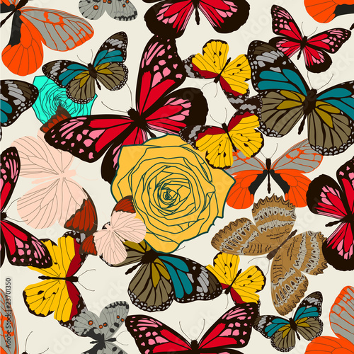 butterfly