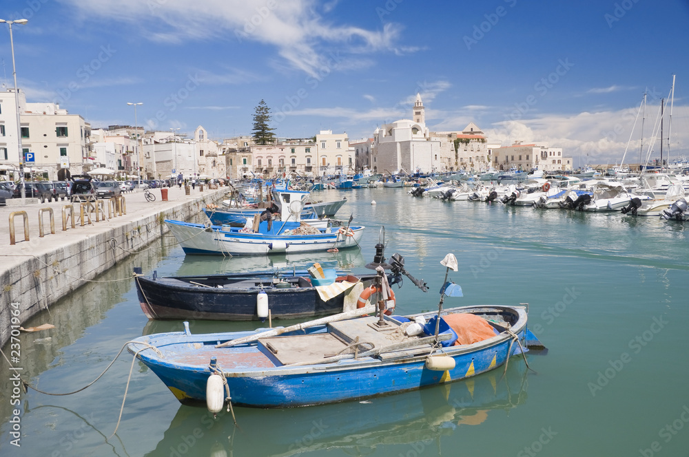 Boats moored in port. Trani.  Apulia.