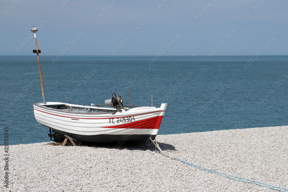 Fototapeta premium boot