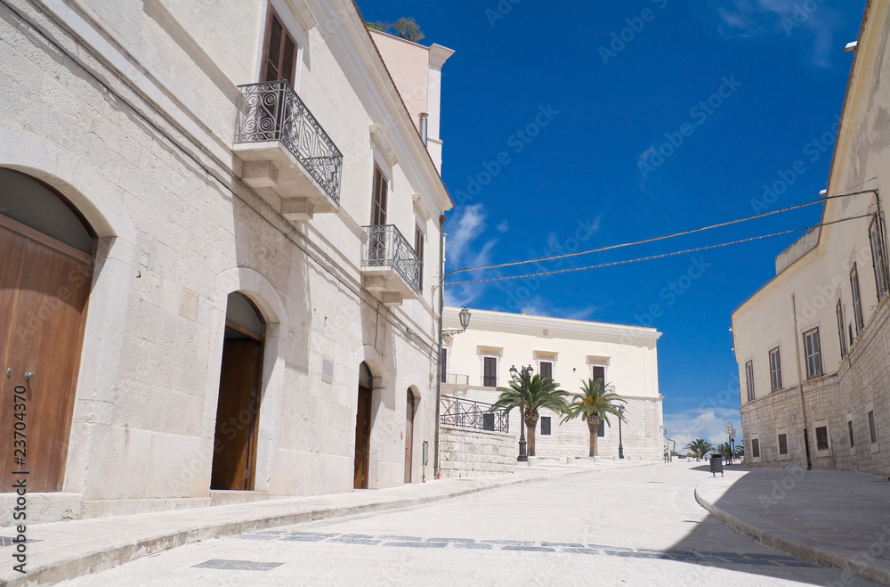 Trani Alleyway. Apulia.