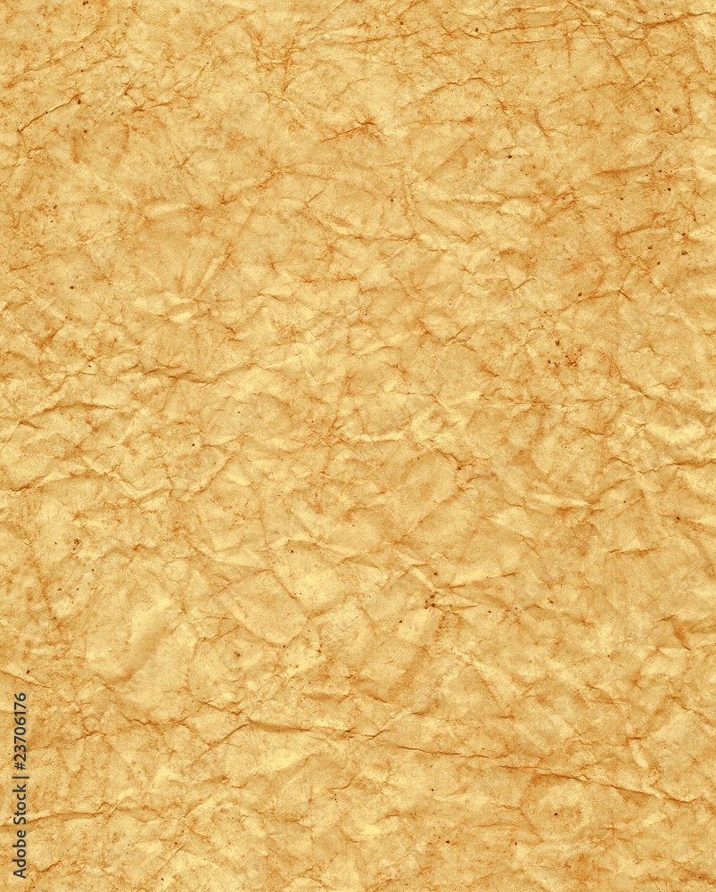 Fototapeta premium Grunge texture paper