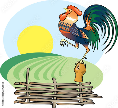 Singing Rooster and morning Sun.