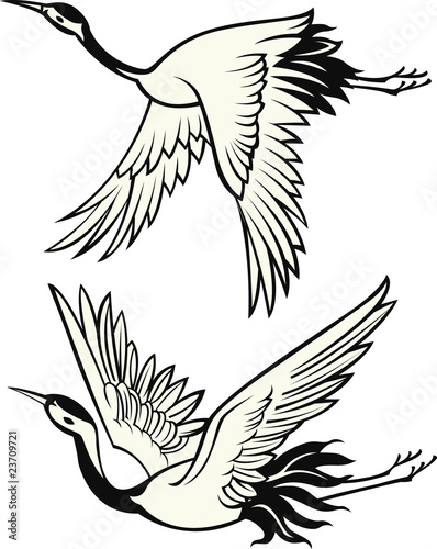 crane illustration