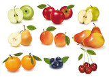 Photo-realistic vector illustration. Big group of ripe fruit.