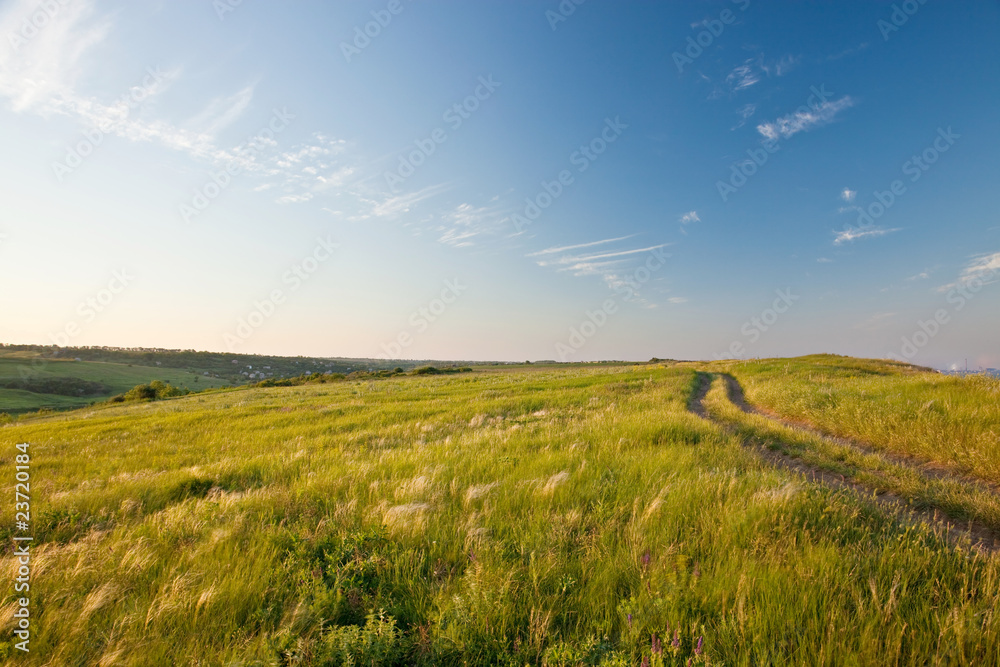Naklejka premium evening in a summer steppe