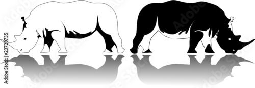 rhino