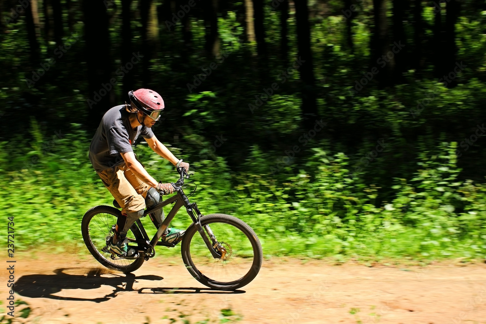 Cyclist in forest