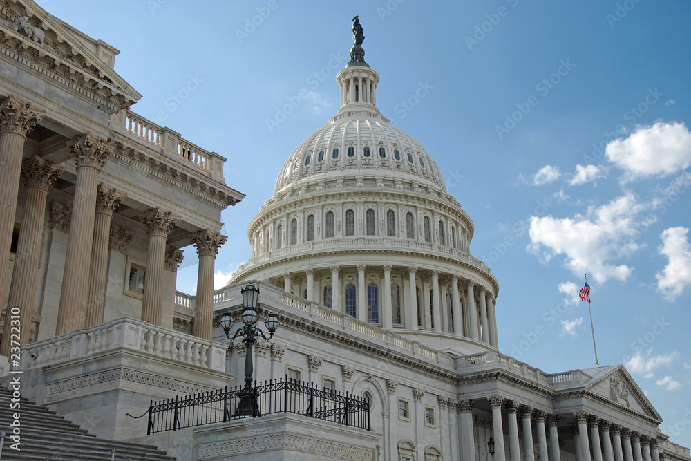 Fototapeta premium US Capitol in Washington DC