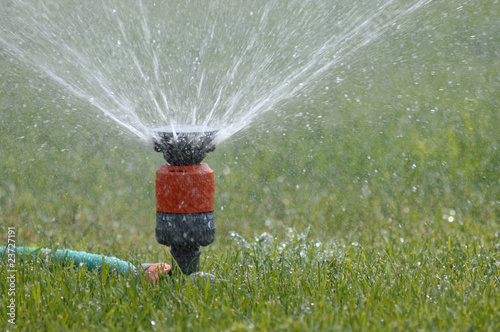 Garten wird gewässert mit Rasensprenger