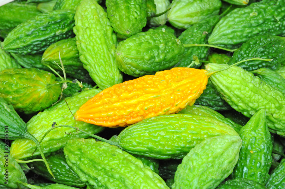 A Ripe Bitter Gourd And A Background Of Green Gourds A Ripe Bitter Gourd And A Background Of Green Gourds