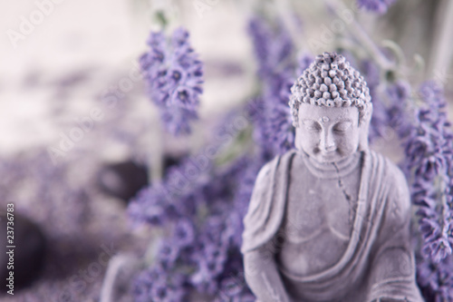 Buddha bei Zen Meditation,  Massage Steine, Lavendel
