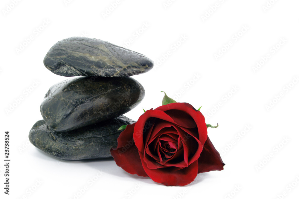 Fototapeta premium steine mit rose