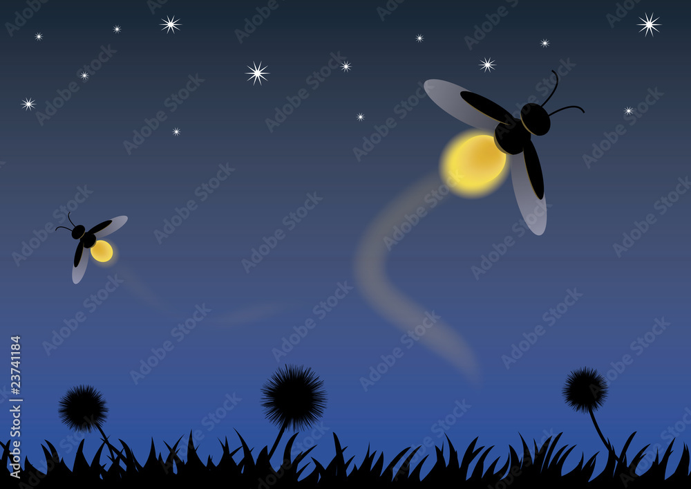 Luciernagas volando