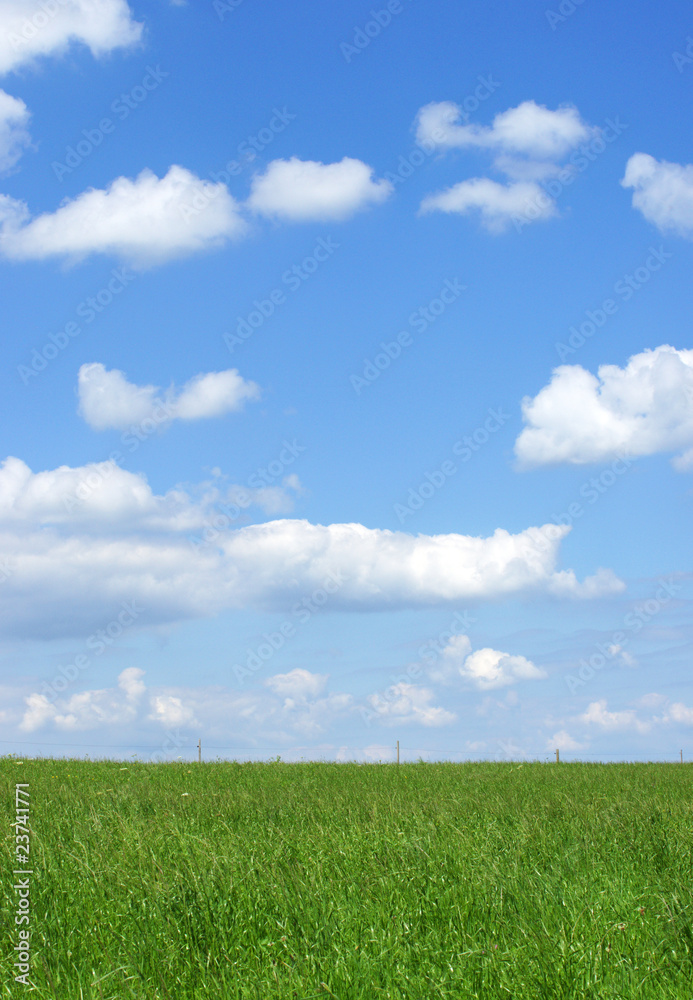 Beautiful Nature - Green & Blue Concept Beautiful Nature - Green & Blue Concept