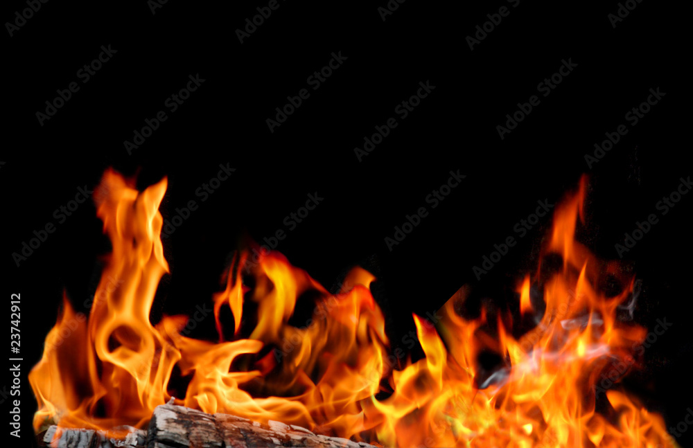 Fototapeta premium Bonfire