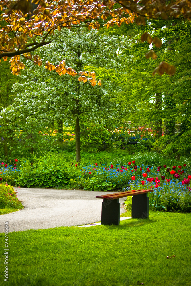Bench under a tree with flowers in a park
