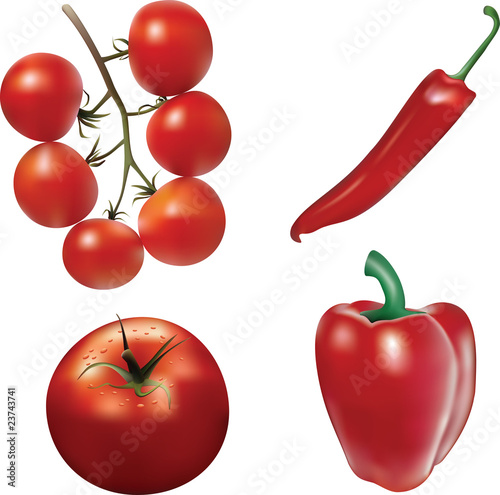 Vector tomatoes and peppers.