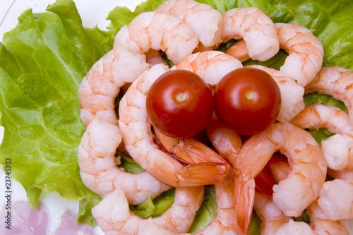 Shrimps close-up with salad on plate photo