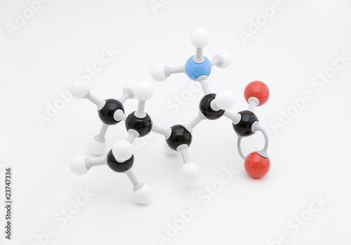 Leucine Amino Acid Molecule