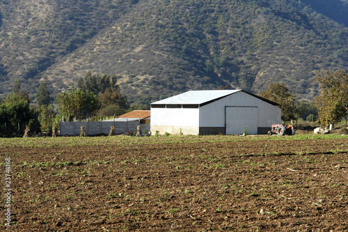 Bodega Agricola photo