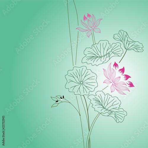 荷花背景