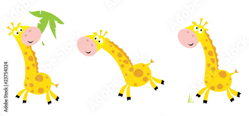 Photography Vector cartoon yellow giraffe in 3 poses
