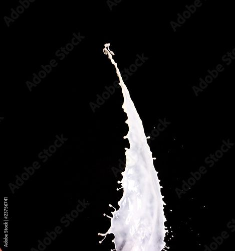 Splash of white milk over black background
