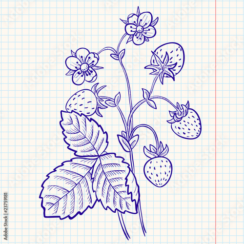 Doodle strawberry