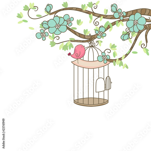 bird and birdcage photo