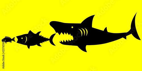 Big fish prey on smaller fish