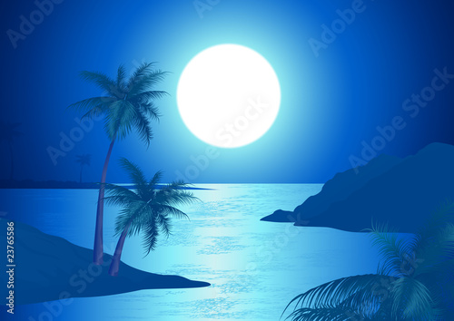 Night on the beach