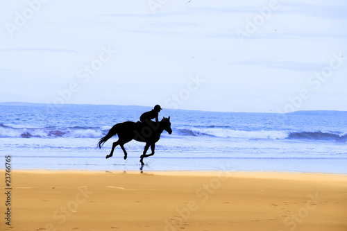 horse and rider silhouette galloping along coast
