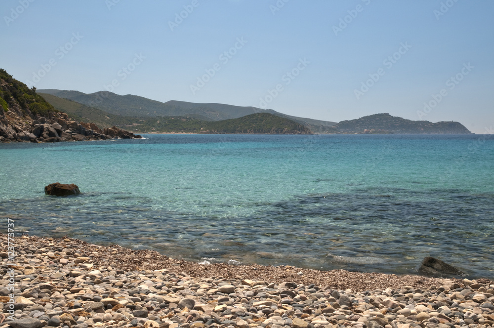 Obraz premium cala regina