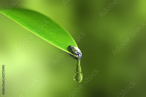 The Earth in a water drop drips from the tip of a leaf