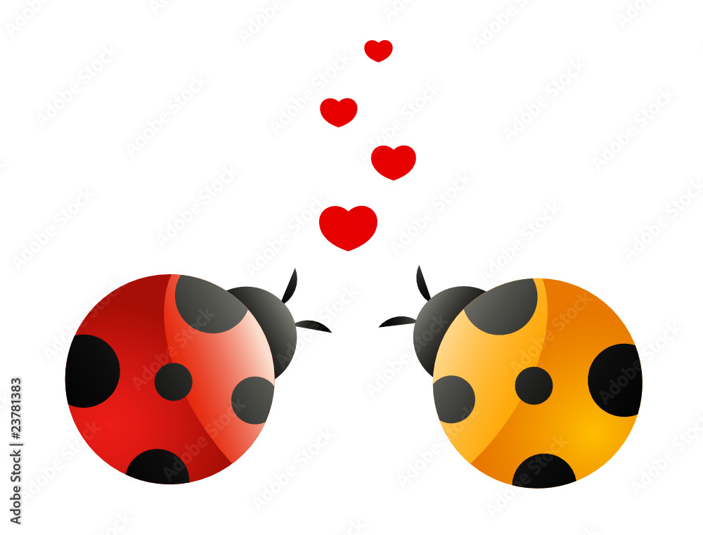 Naklejka premium two in love ladybirds