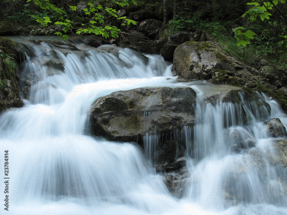 Fototapeta premium Wasser im Bergwald