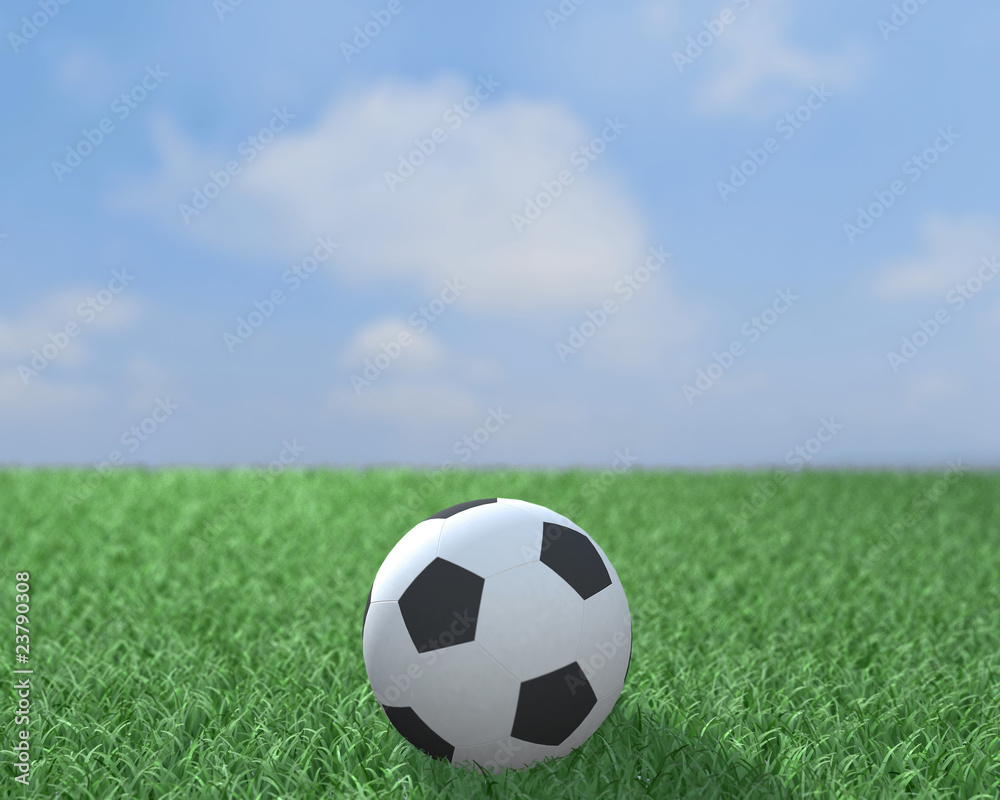 Fototapeta premium Football ball on a field