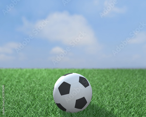 Football ball on a field © Roman Antoschuk